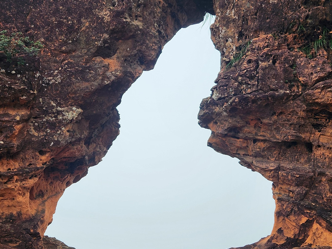 Praia Rica Ecoturismo - expedições personalizadas no Cerrado brasileiro-Palmas必去景点