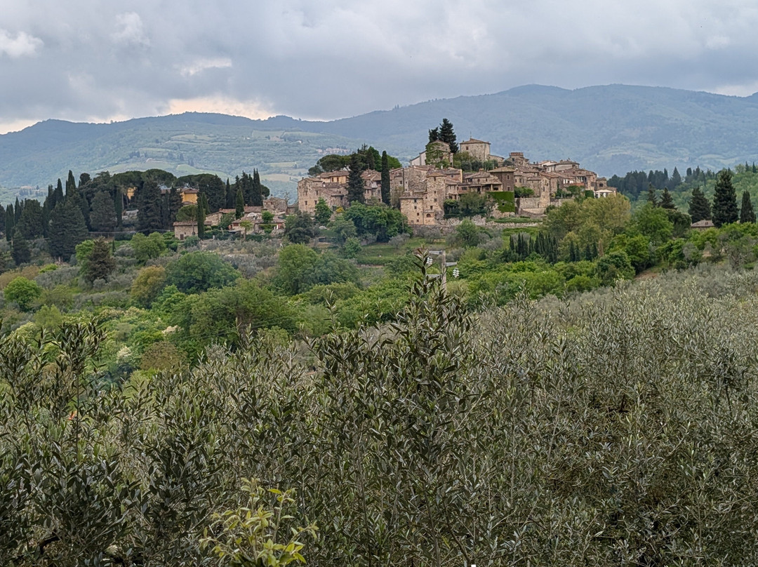 Podere Bucine Winery-格雷韦伊恩基亚恩蒂必去景点