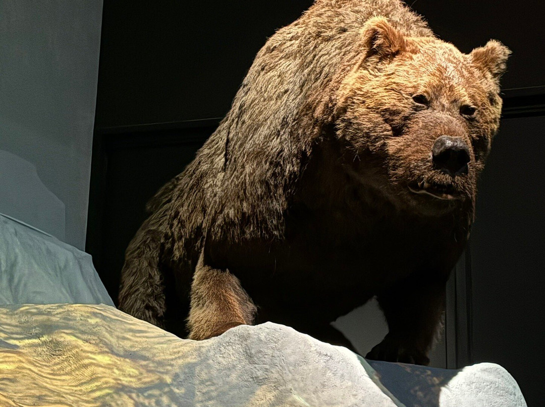Musee De L'ours Des Cavernes-Entremont-le-Vieux必去景点