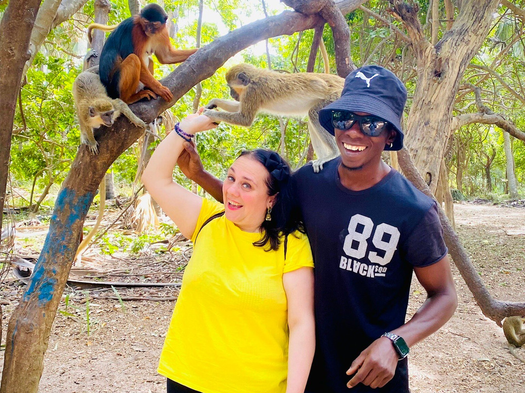 Monkey Park Senegambia-塞瑞库达必去景点