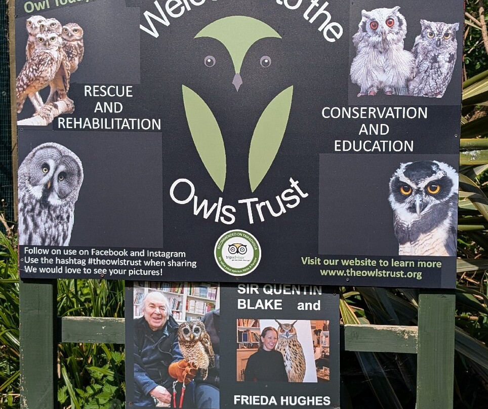 The Owls Trust-兰迪德诺必去景点