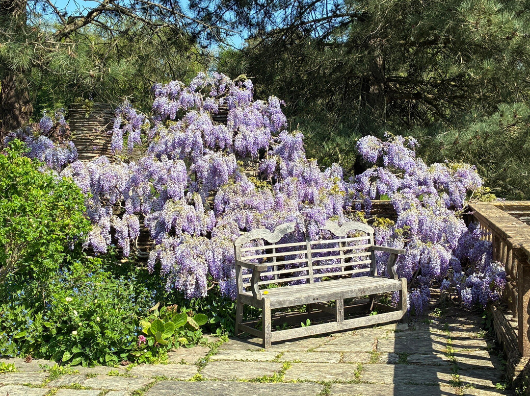 Hestercombe Gardens-汤顿必去景点