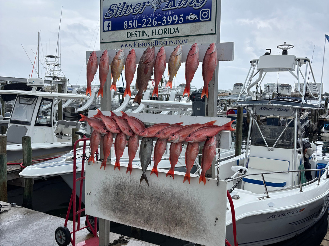 Silver King Charters of Destin-Sandestin必去景点
