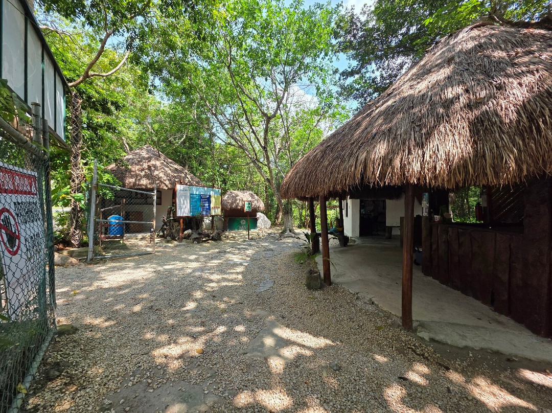 Cenote Chaak Tun-普拉亚德尔卡曼必去景点