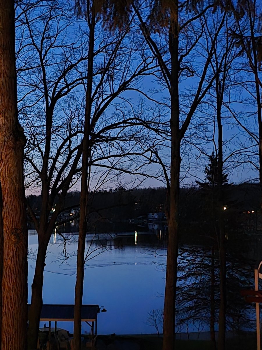 Lakeside Motel & Cottages-旅行者