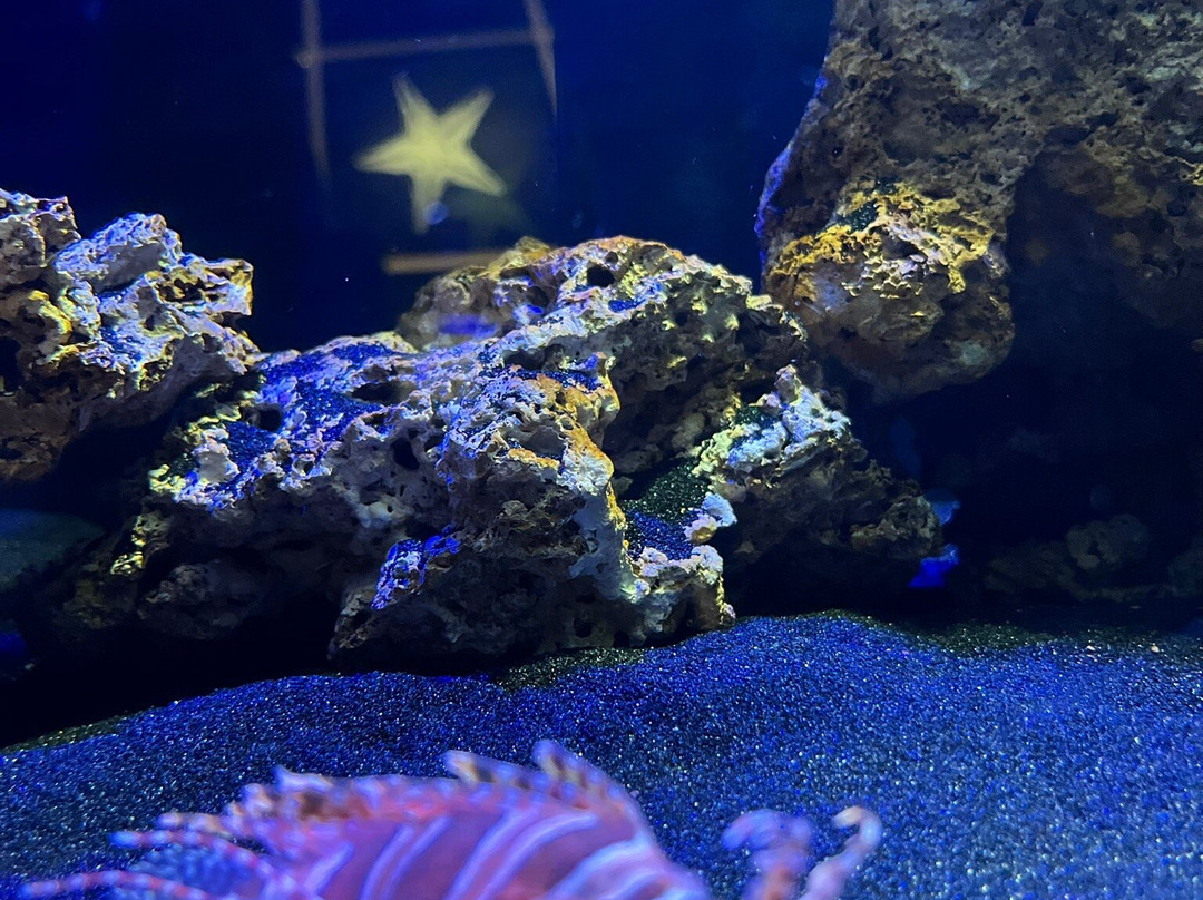 AquaRio-里约热内卢必去景点