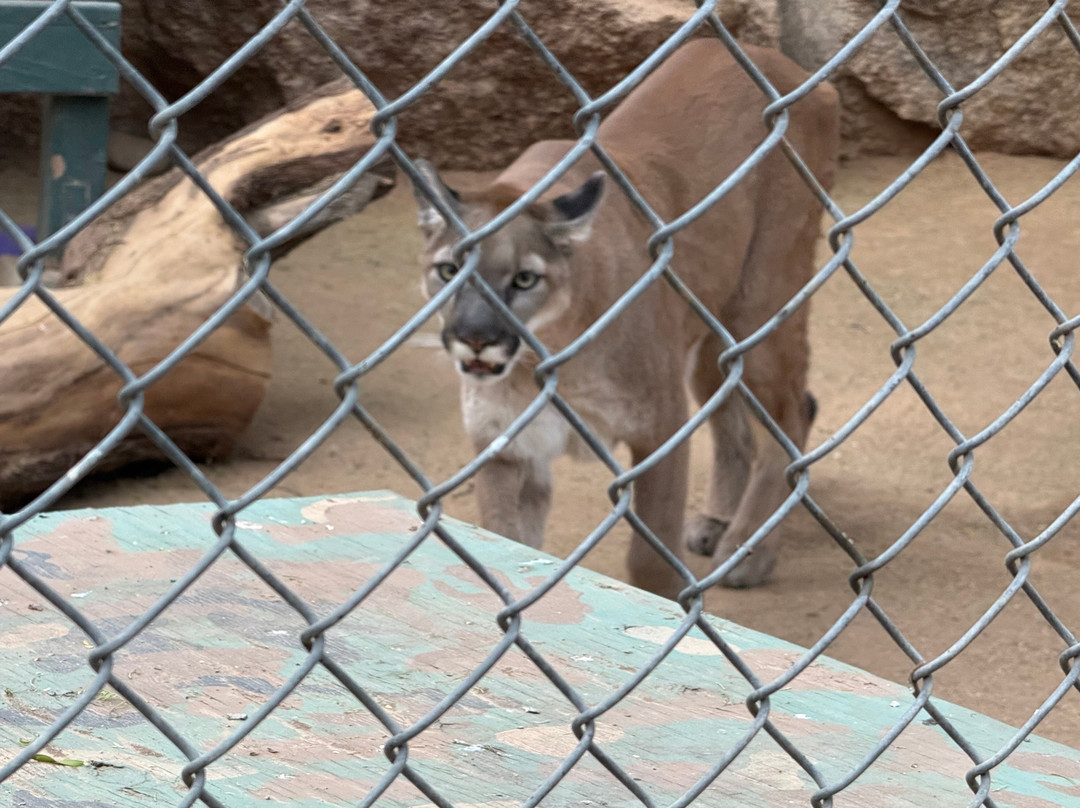 Southwest Wildlife Conservation Center-斯科茨代尔必去景点