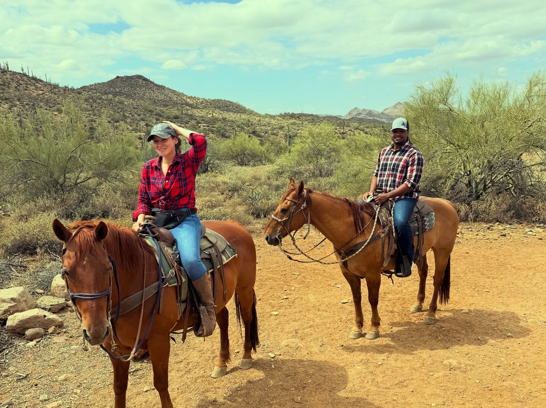 Arizona Horseback Adventures at Spur Cross-洞溪必去景点