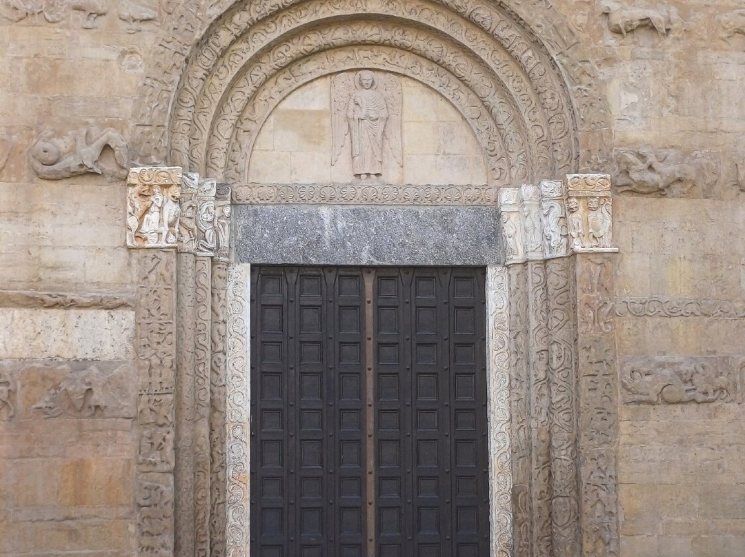 Basilica San Michele Maggiore-帕维亚必去景点