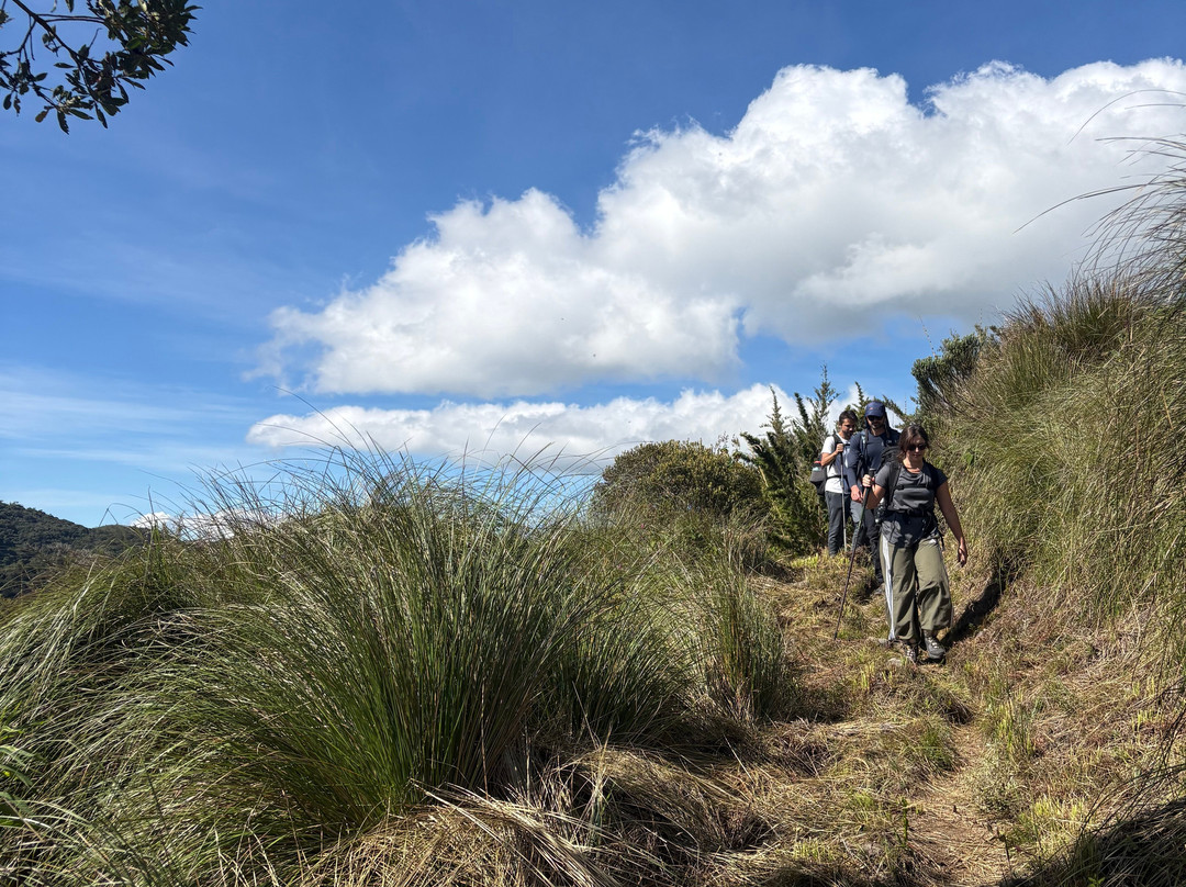 Gute Passeios-Itatiaia National Park必去景点