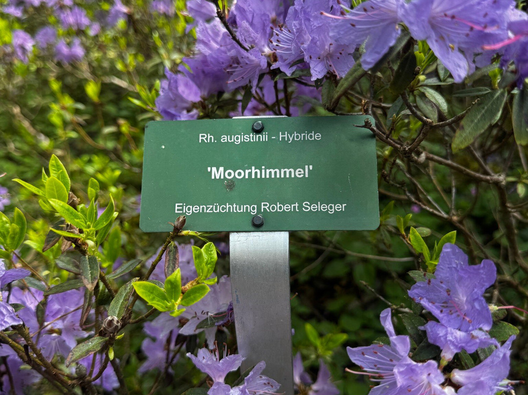 Park Seleger Moor-Rifferswil必去景点