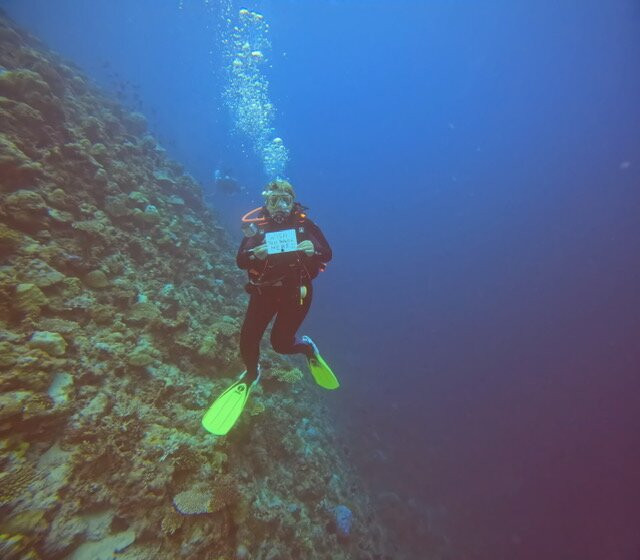 Euro-Divers LUX South Ari Atoll-南阿里环礁必去景点