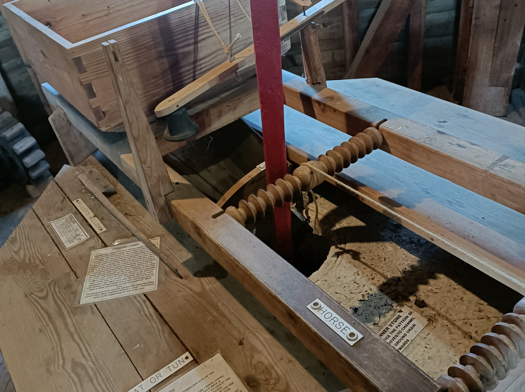 Herne Mill-Herne Bay必去景点