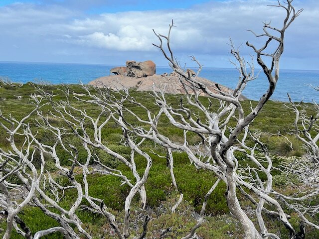 Remarkable Rocks-弗林德斯蔡斯必去景点