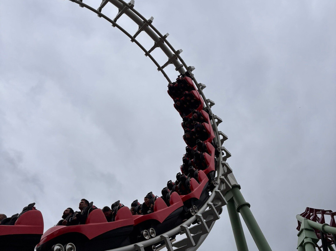 Walygator Sud Ouest-Roquefort必去景点
