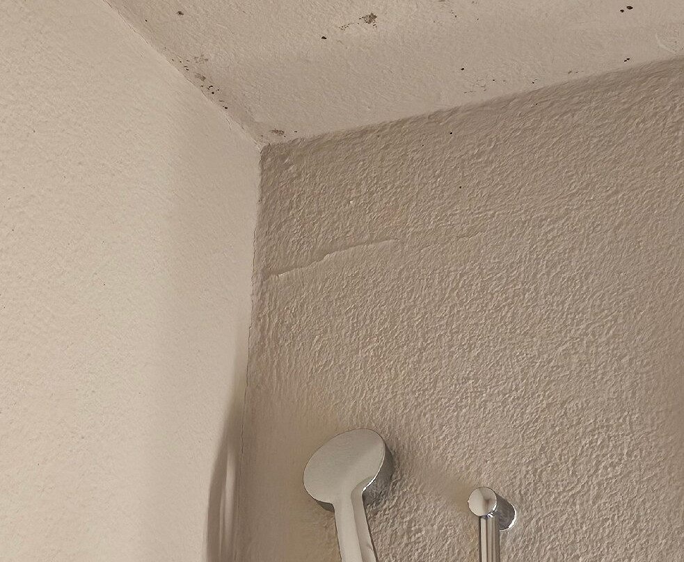 卢塞恩西伯格酒店主图