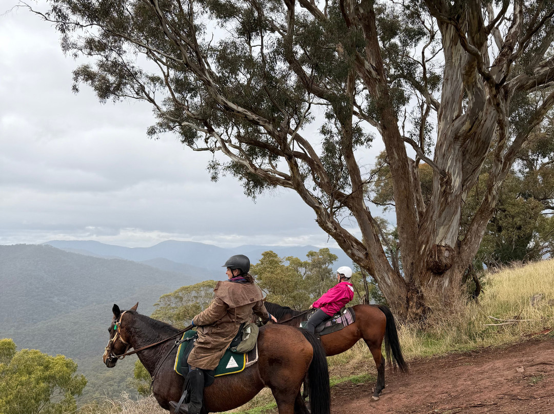 Watson's Mountain Country Trail Rides - Day Tours-曼斯菲尔德必去景点