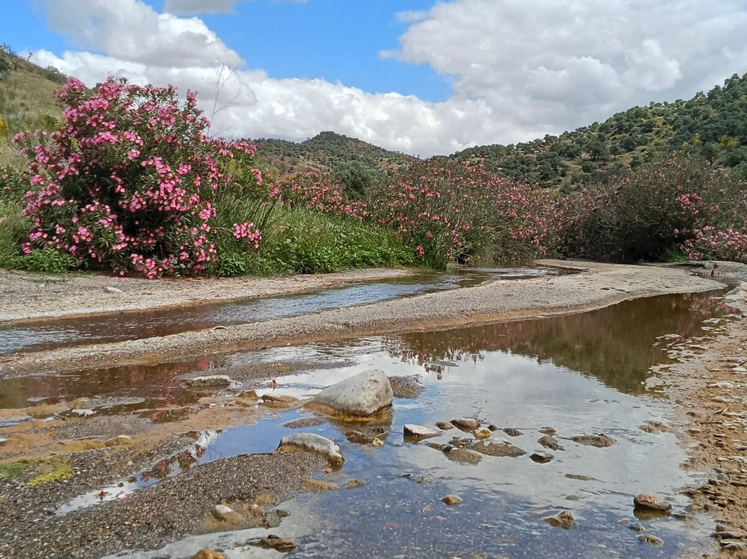 Al Ándalus Ecoturismo-Casabermeja必去景点
