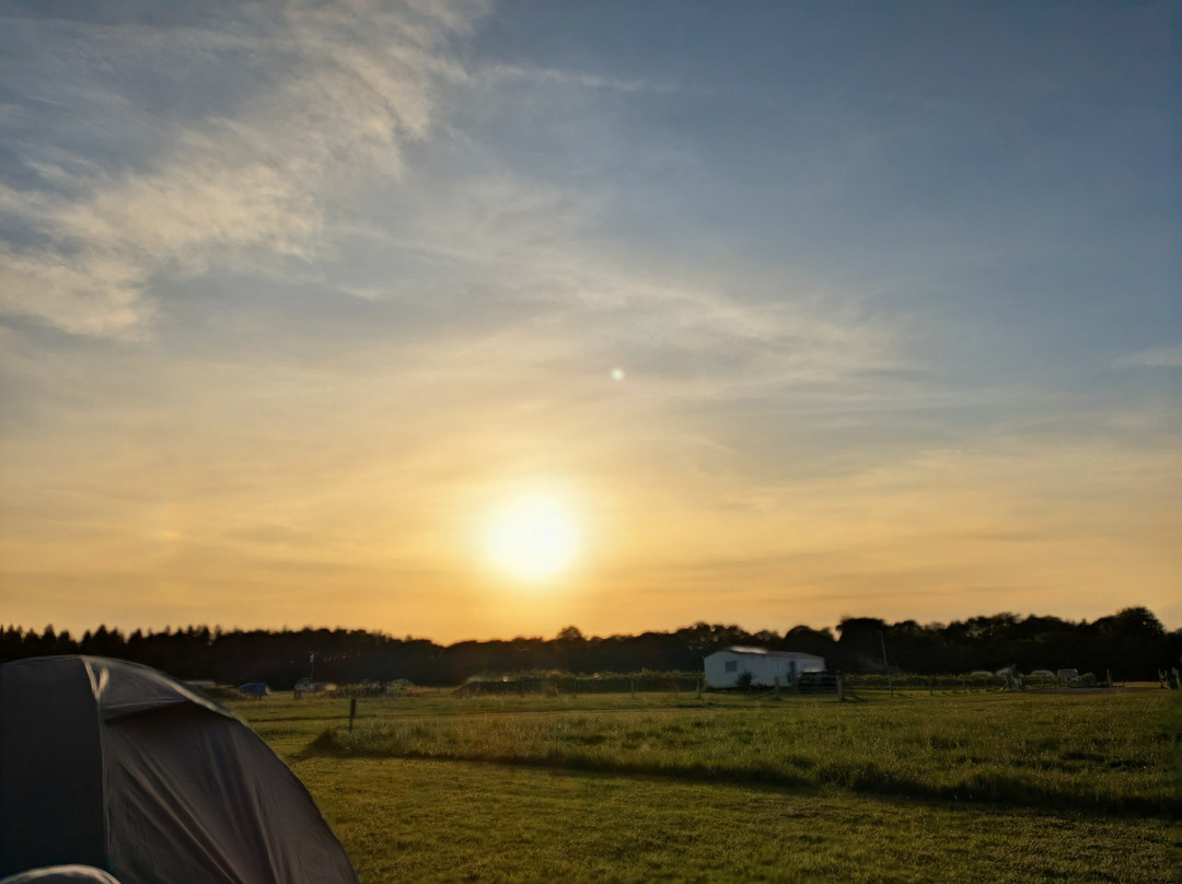 The Forest Edge Campsite