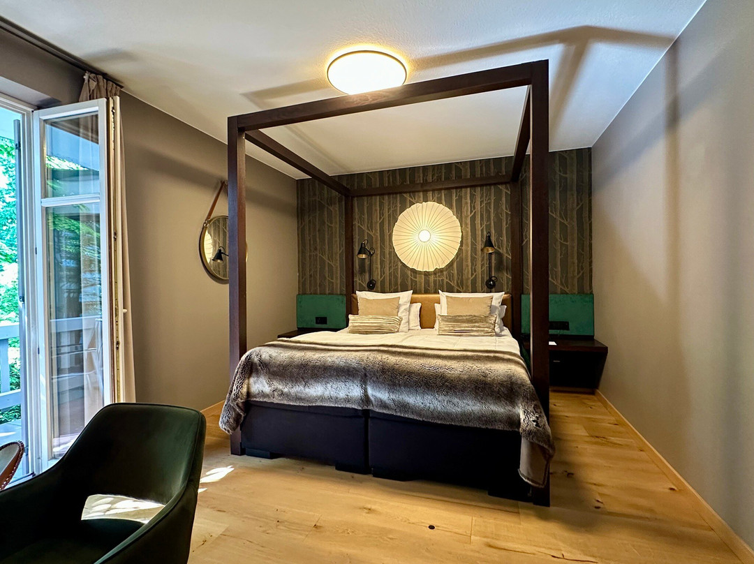 Schanz. Hotel主图