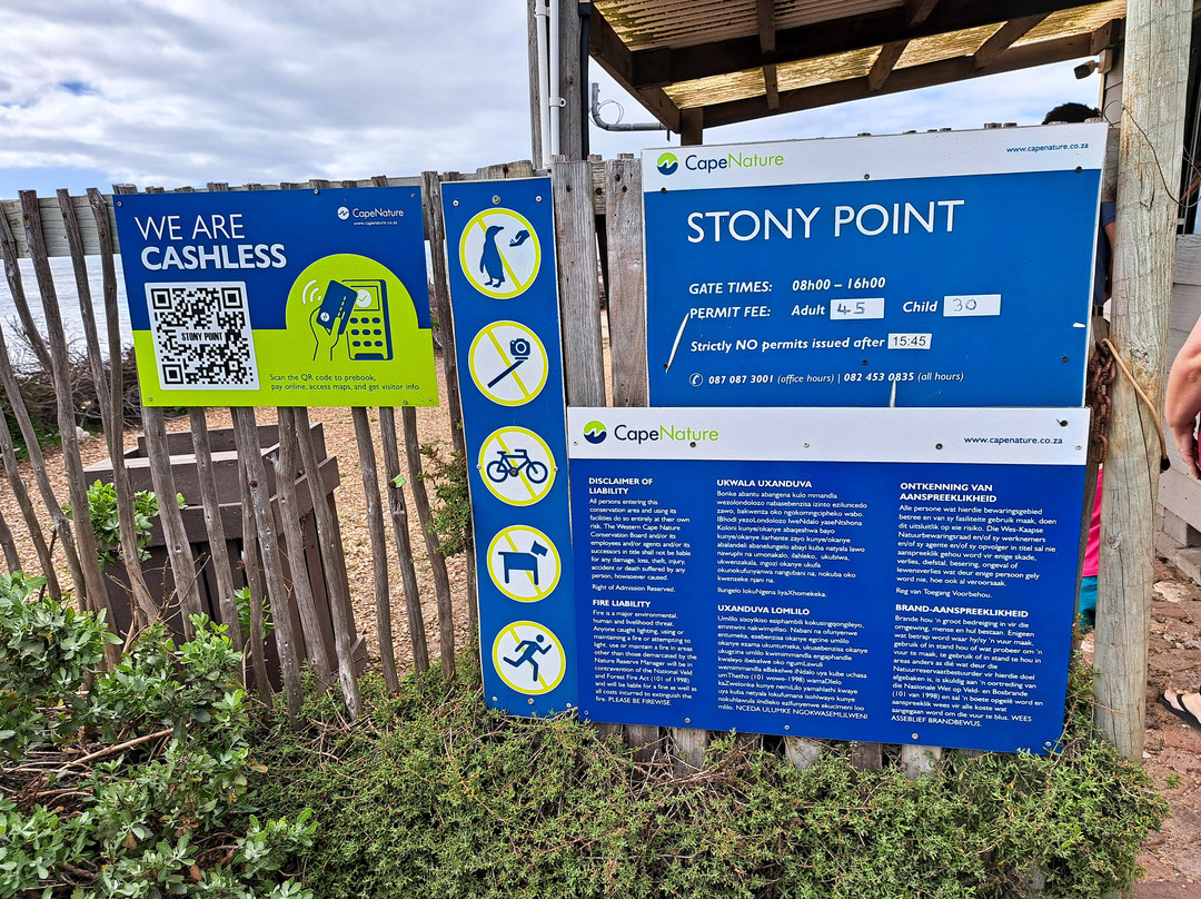 Stony Point Nature Reserve-Betty's Bay必去景点