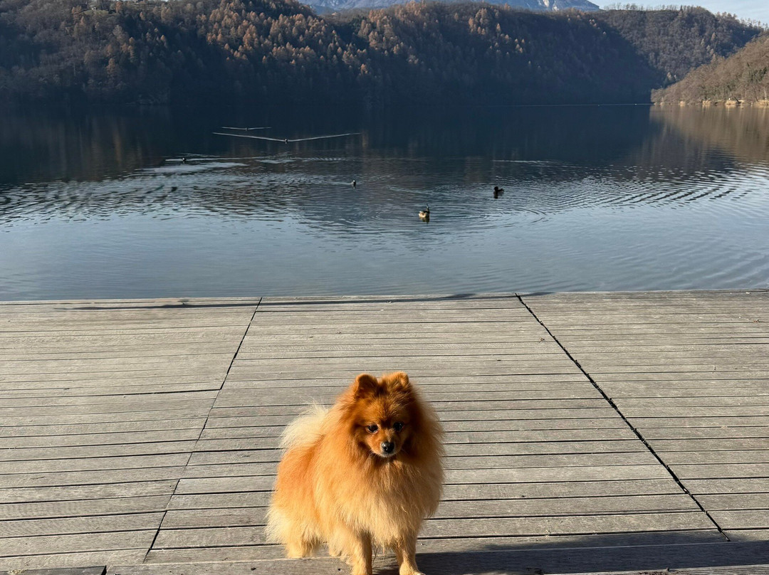 Lago della Serraia-Baselga di Pine必去景点