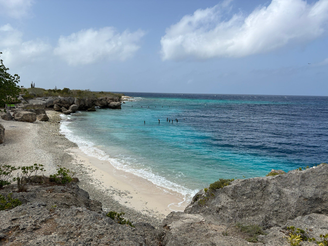 Central Dive Curacao-威廉斯塔德必去景点