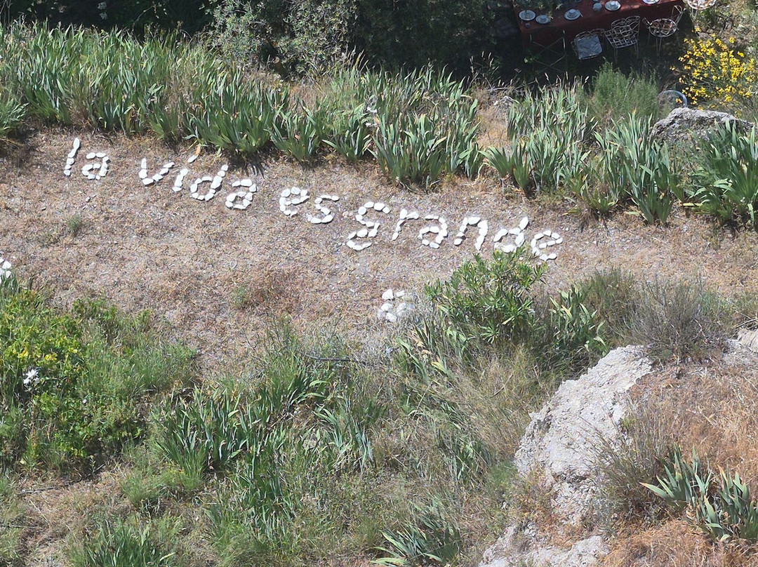 Almazara La Erilla, OleoTurismo en Granada-Niguelas必去景点