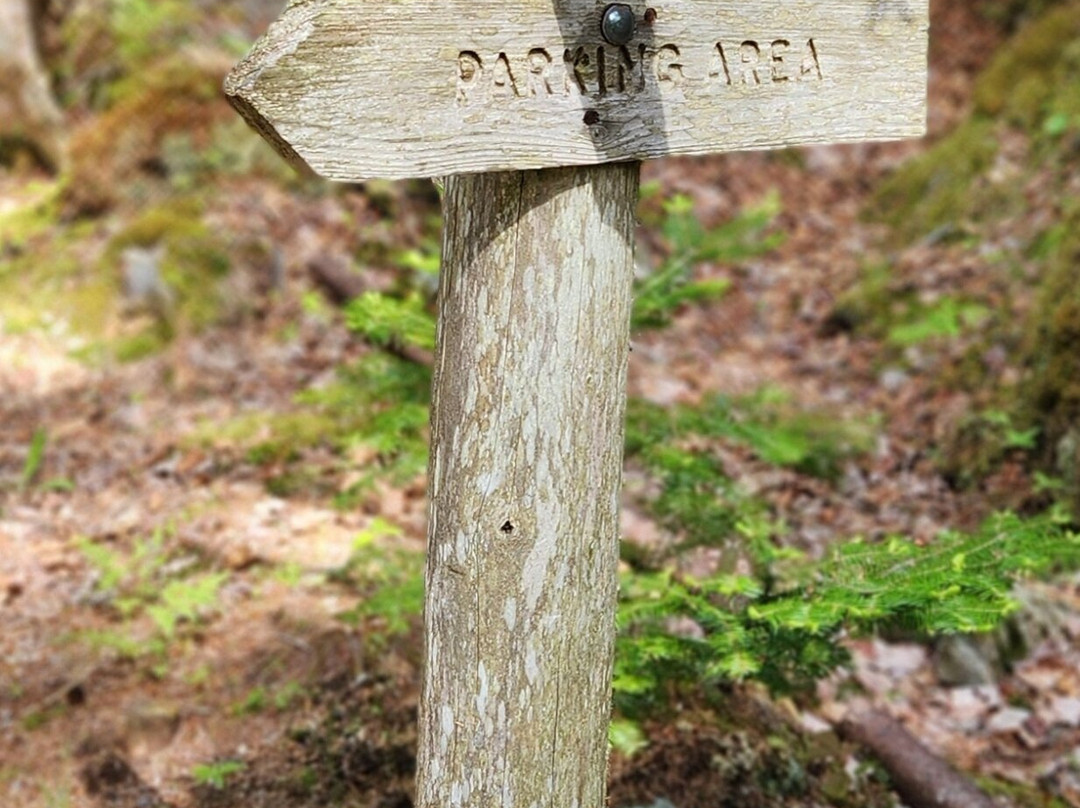 Ship Harbor Nature Trail-Bass Harbor必去景点