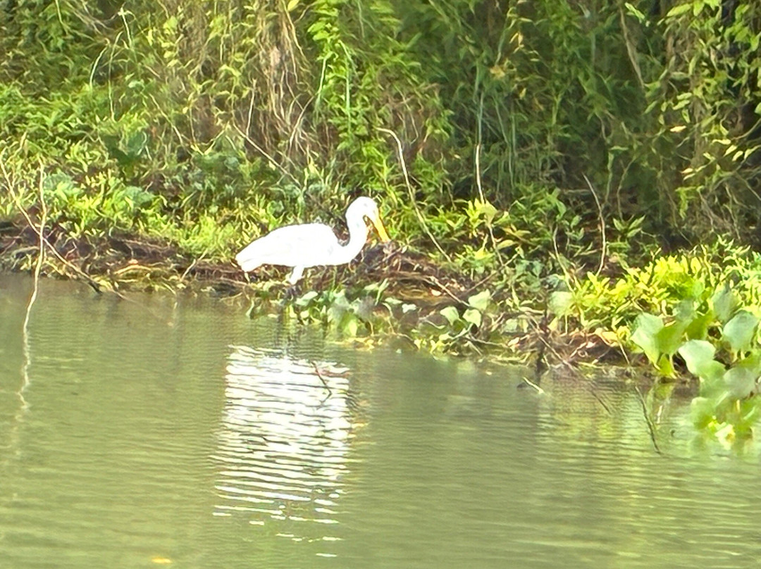 Panama Day Trips- Canal Eco Tours-巴拿马城必去景点
