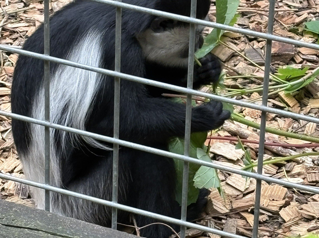 Skaerup Zoo-Skaerup必去景点
