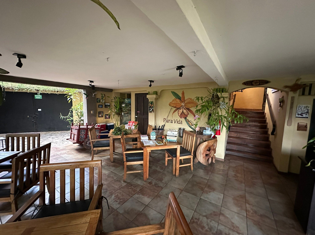 Pura Vida Hotel主图