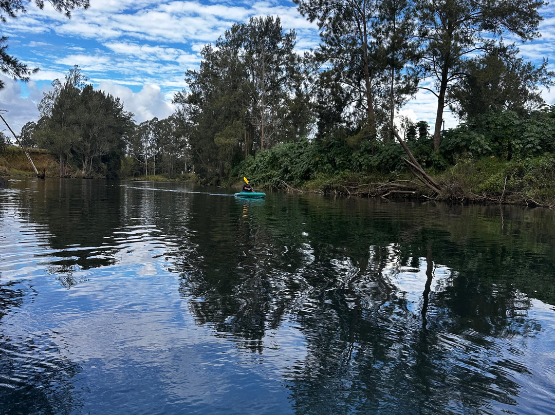 Bellingen Canoe Adventures-贝林真必去景点