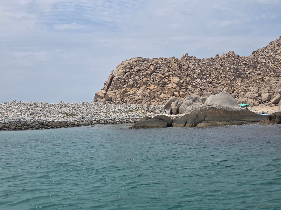 Cabo Pulmo Sport Center-Cabo Pulmo必去景点