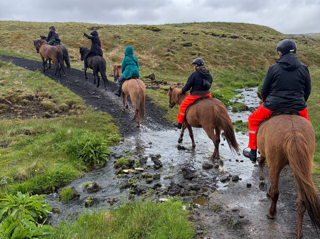 Eldhestar Volcano Horses-Olfus必去景点