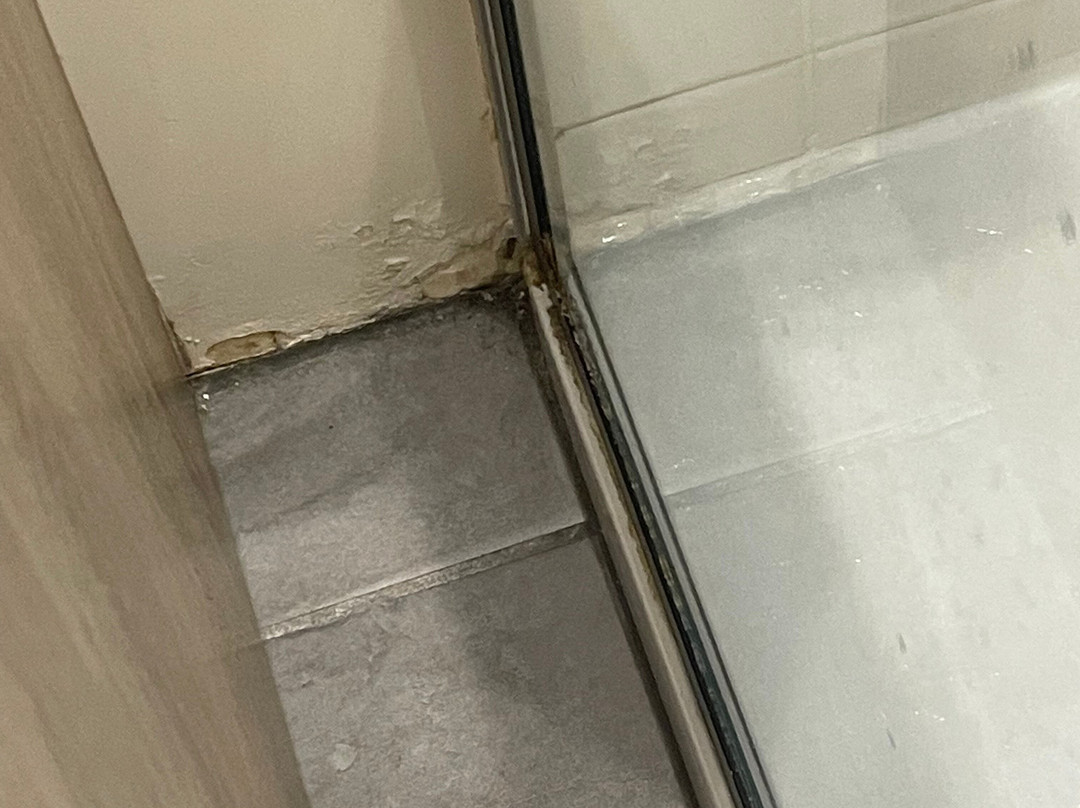 巴黎蒙马特宅邸原生精品酒店主图