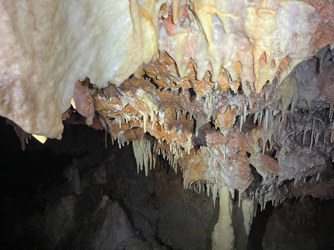 Aven Grotte Forestière-Orgnac-l'Aven必去景点