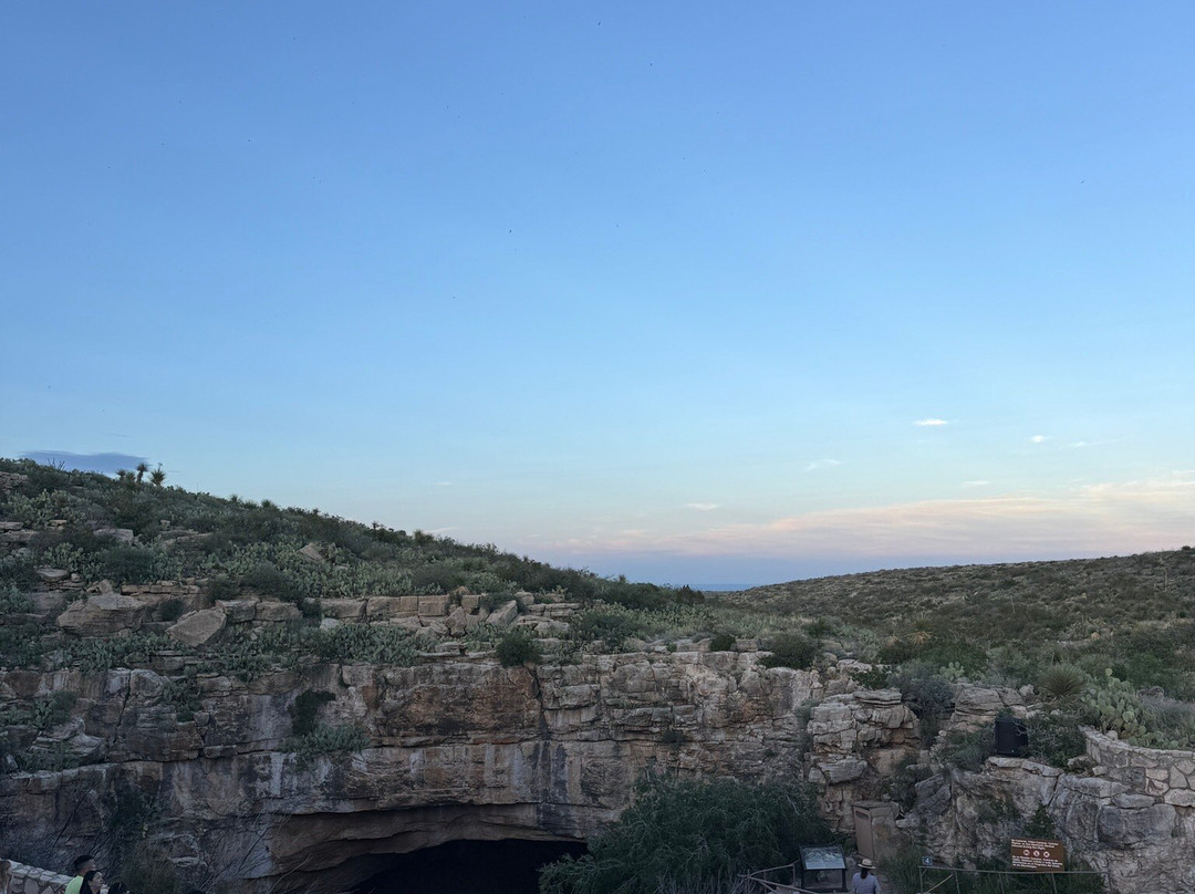 Bat Flight Program in Carlsbad Caverns National Park-卡尔斯巴德洞穴国家公园必去景点