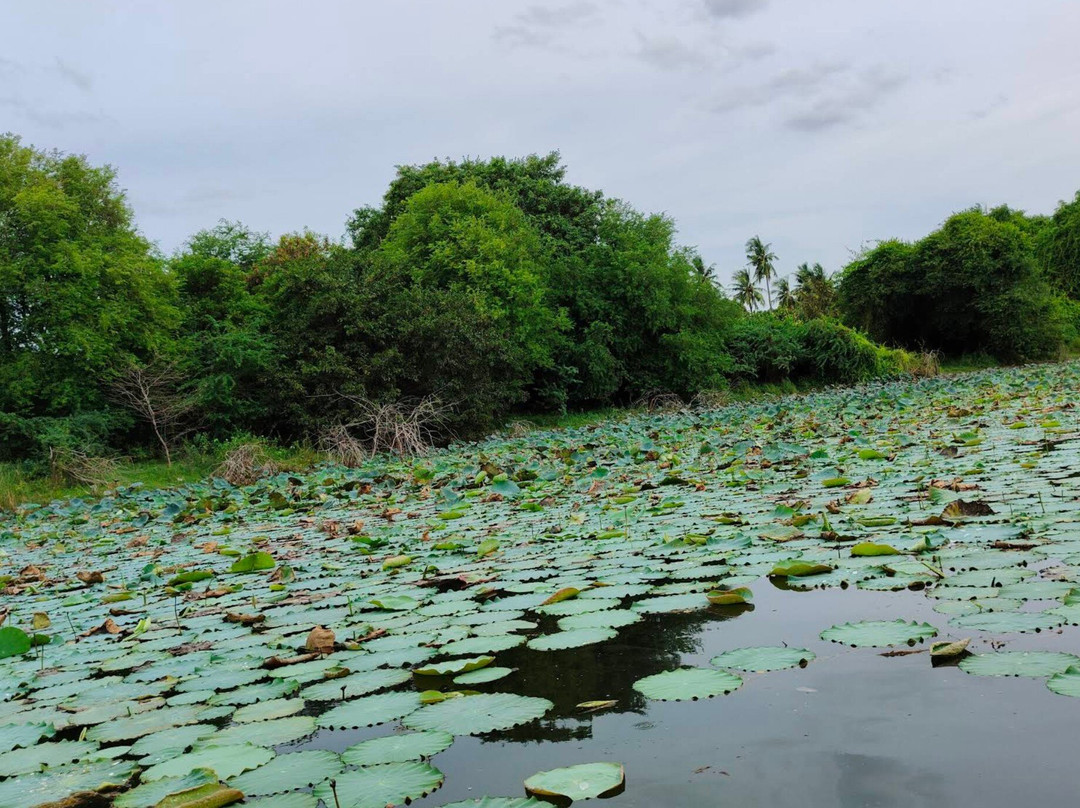 Ousteri Lake-朋迪榭里必去景点