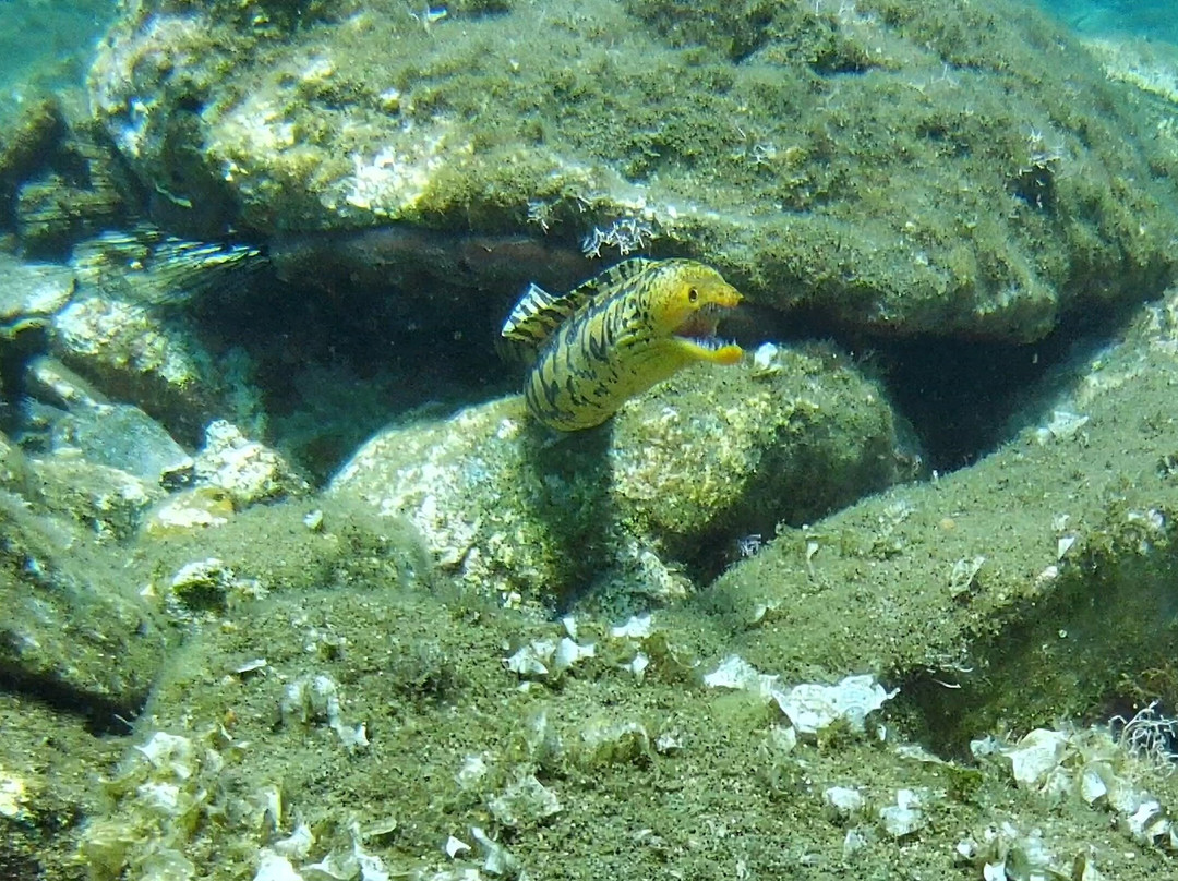 Atlantis Diving Center-Adelianos Kampos必去景点