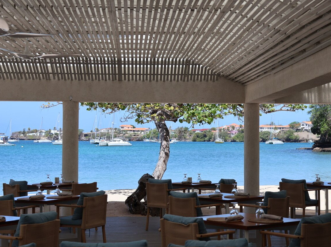 卡拉巴什酒店Calabash Hotel （格林纳达）主图