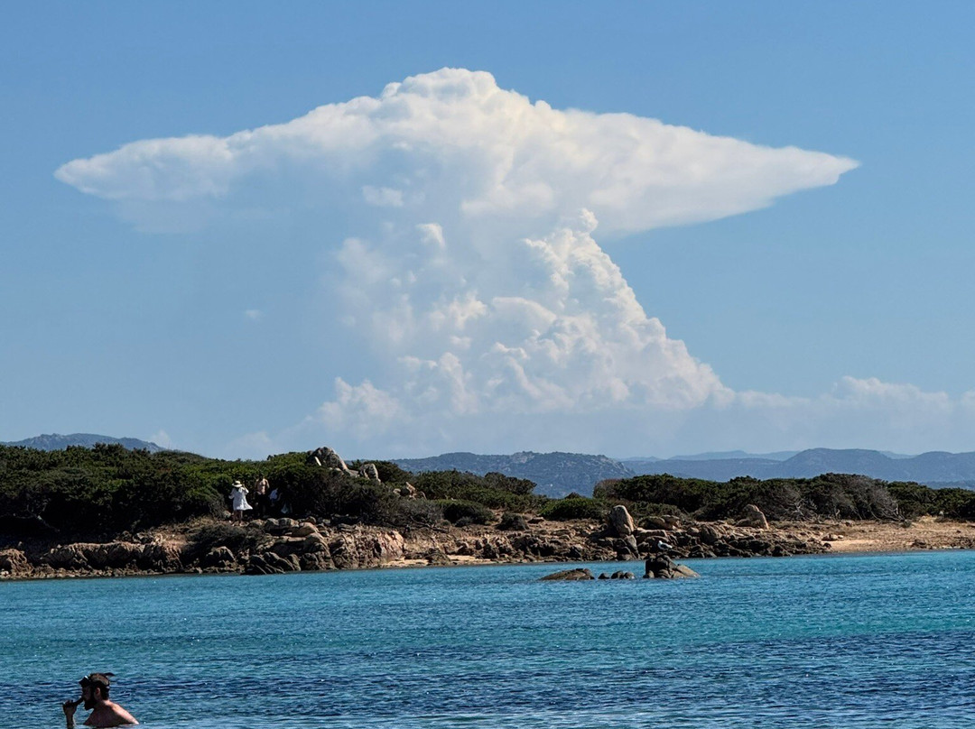 Spiaggia Porto Palma-Caprera必去景点