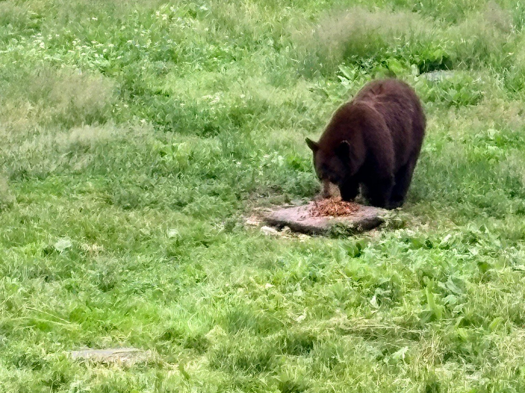 Vince Shute Wildlife Sanctuary-Orr必去景点