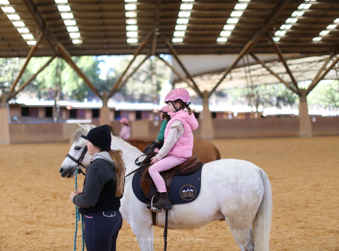Eastside Riding Academy-悉尼必去景点