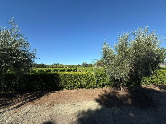 Pestoni Family Estate Winery-圣海伦娜必去景点