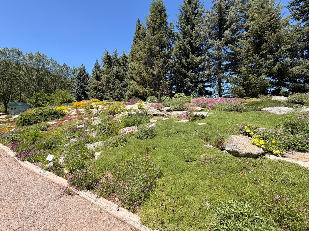 Yampa River Botanic Park-斯廷博特斯普林斯必去景点