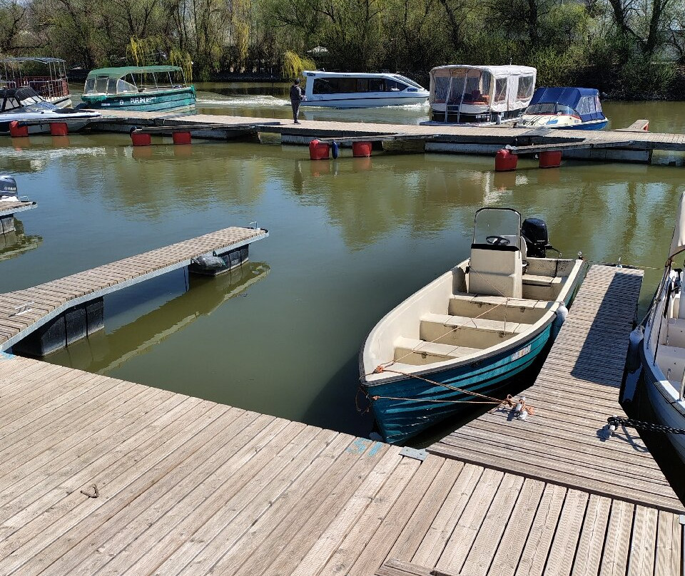 Danube Delta Wildlife Boat Tours-Murighiol必去景点