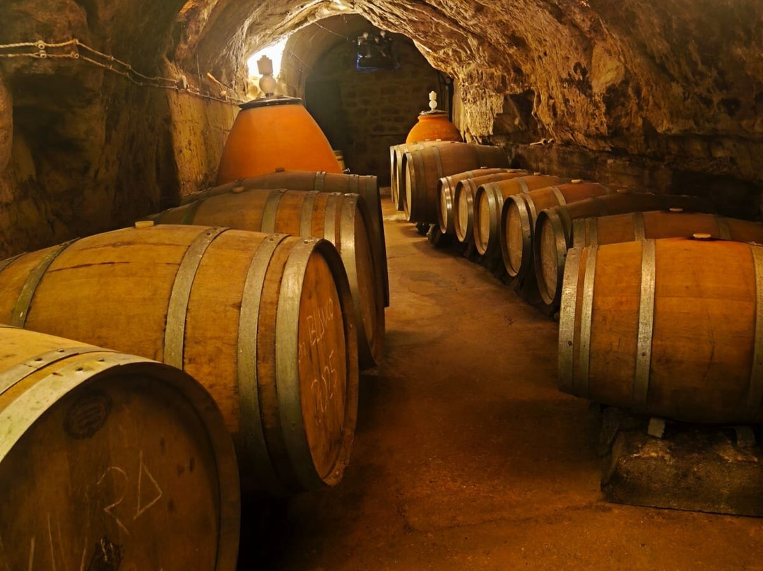 Bodega La Cueva del Castillo-Labastida必去景点