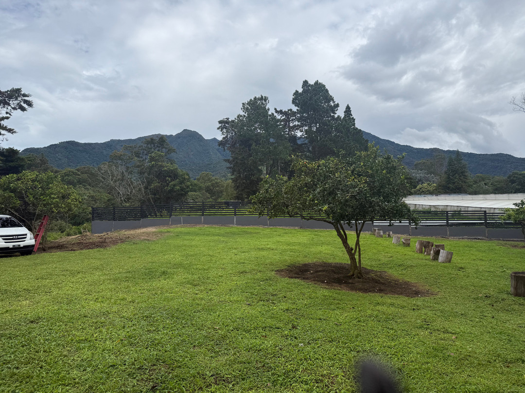 Retire in Panama Tours | Move to Panama | Panama Relocation Experts-波魁特必去景点