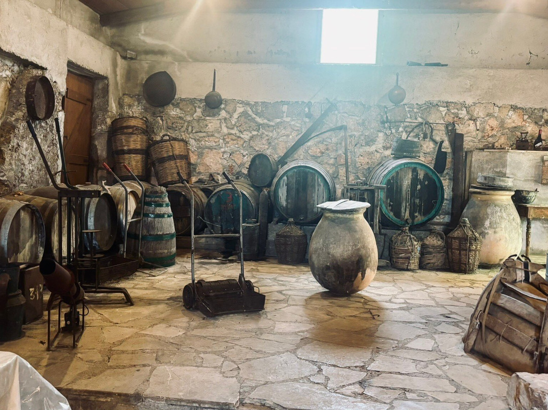Divino Wines and Vinegar-Pesada必去景点
